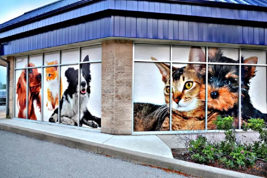 Custom window signage 3